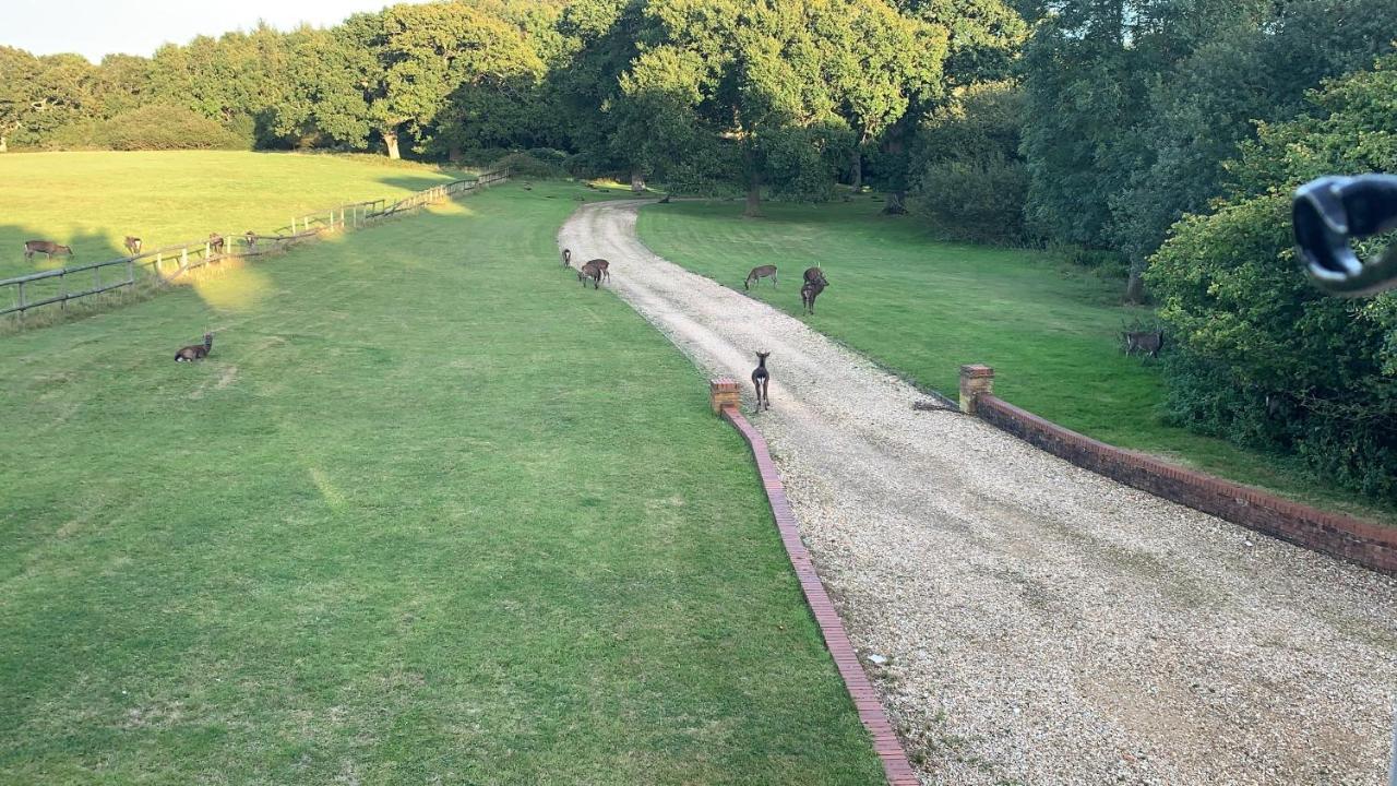 Yards Brake On 40 Acres Of Private Land Vila Langton Matravers Exterior foto