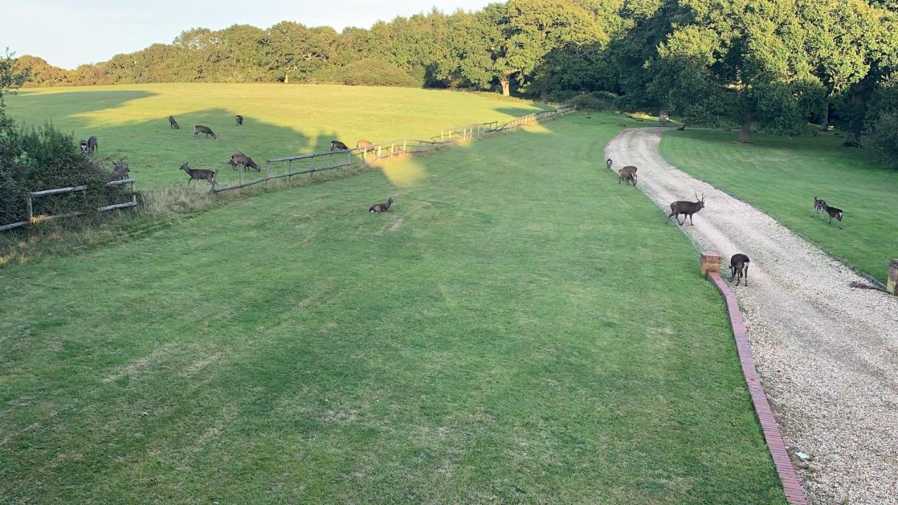 Yards Brake On 40 Acres Of Private Land Vila Langton Matravers Exterior foto