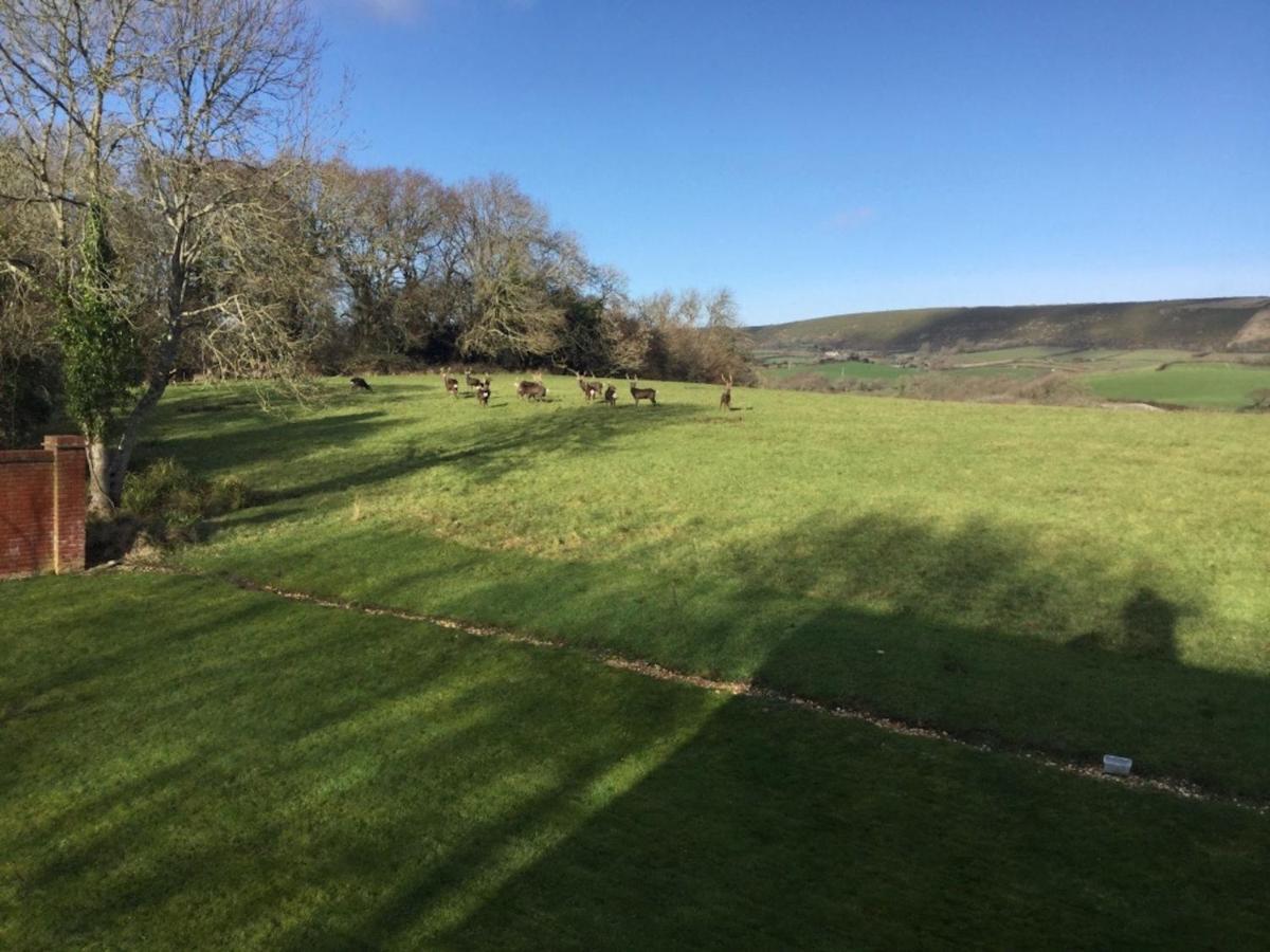 Yards Brake On 40 Acres Of Private Land Vila Langton Matravers Exterior foto