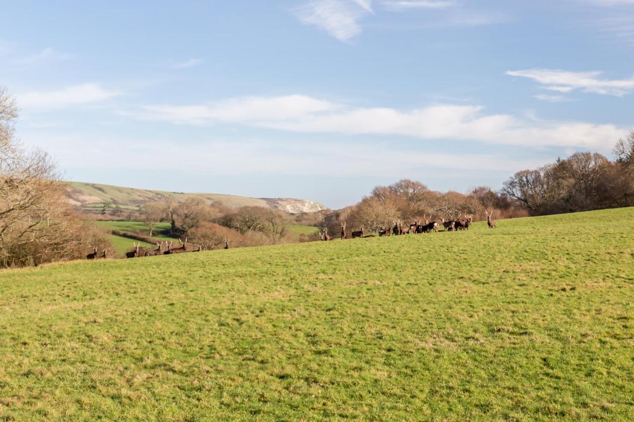 Yards Brake On 40 Acres Of Private Land Vila Langton Matravers Exterior foto